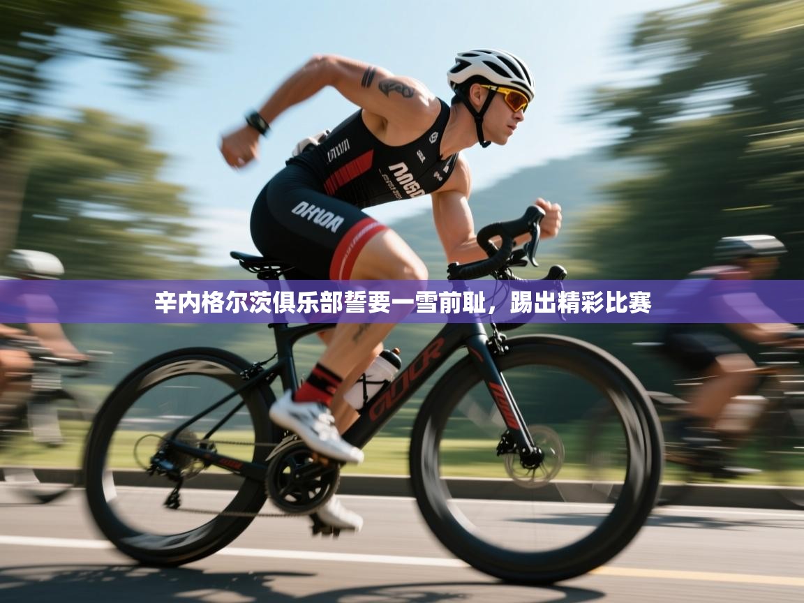 辛内格尔茨俱乐部誓要一雪前耻，踢出精彩比赛  第2张