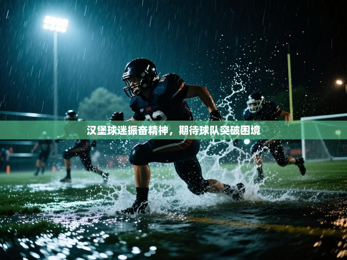 汉堡球迷振奋精神,期待球队突破困境 第1张