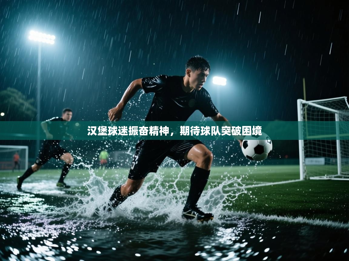 汉堡球迷振奋精神,期待球队突破困境 第2张