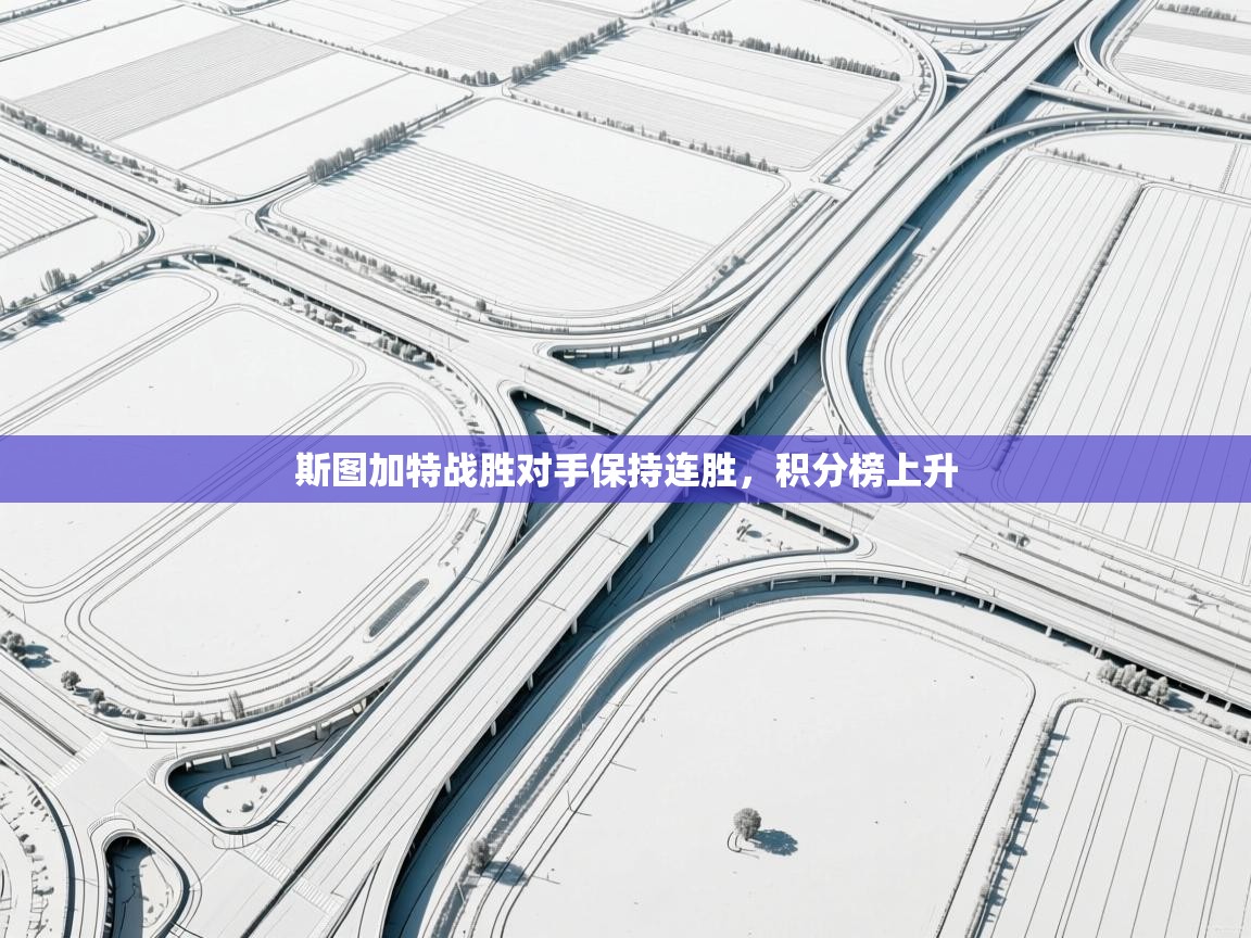 斯图加特战胜对手保持连胜,积分榜上升 第1张