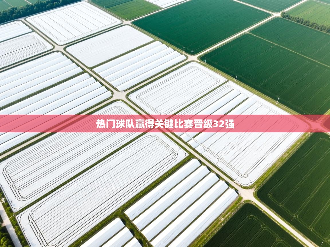 热门球队赢得关键比赛晋级32强 第2张