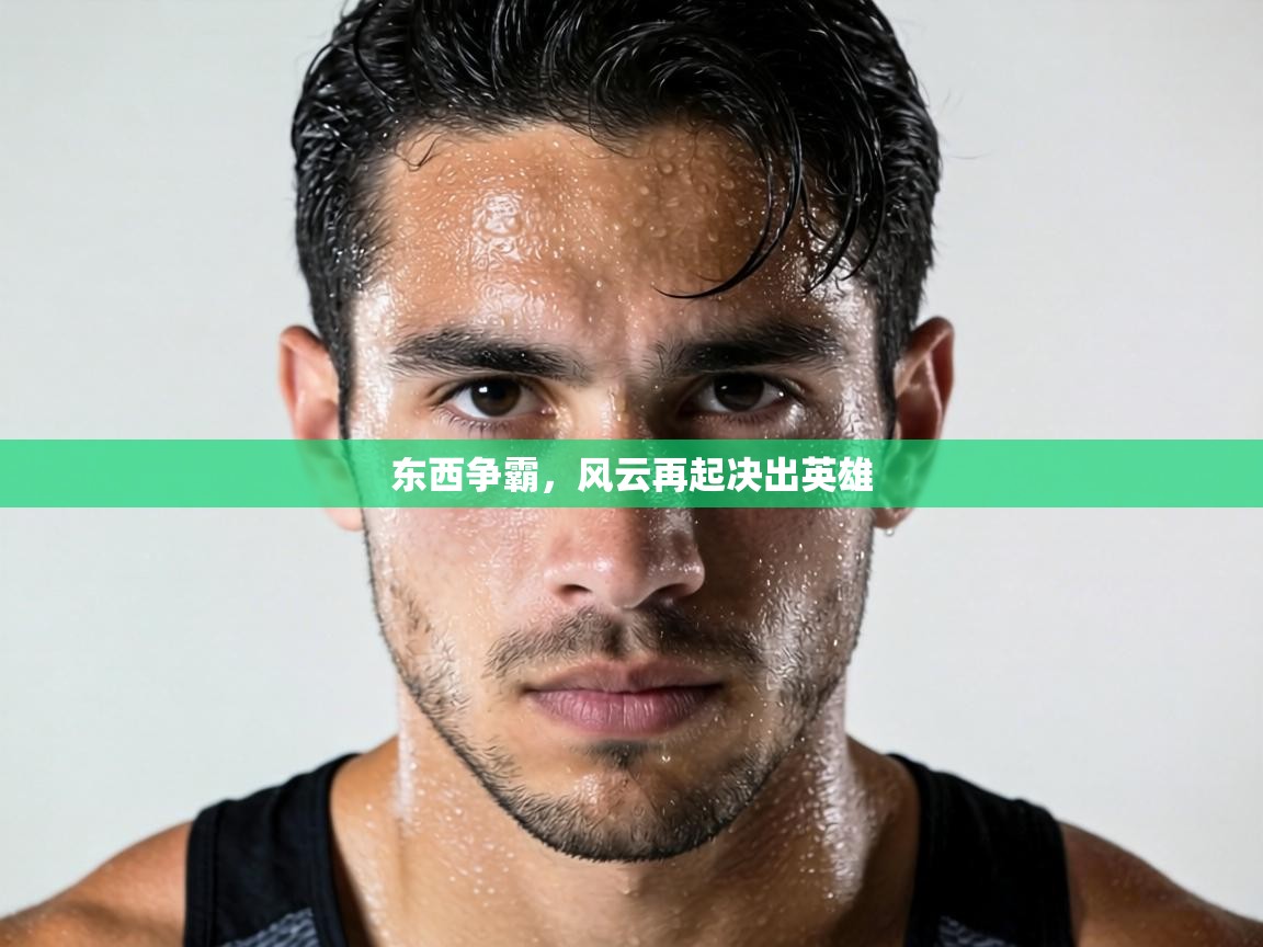 东西争霸，风云再起决出英雄  第2张